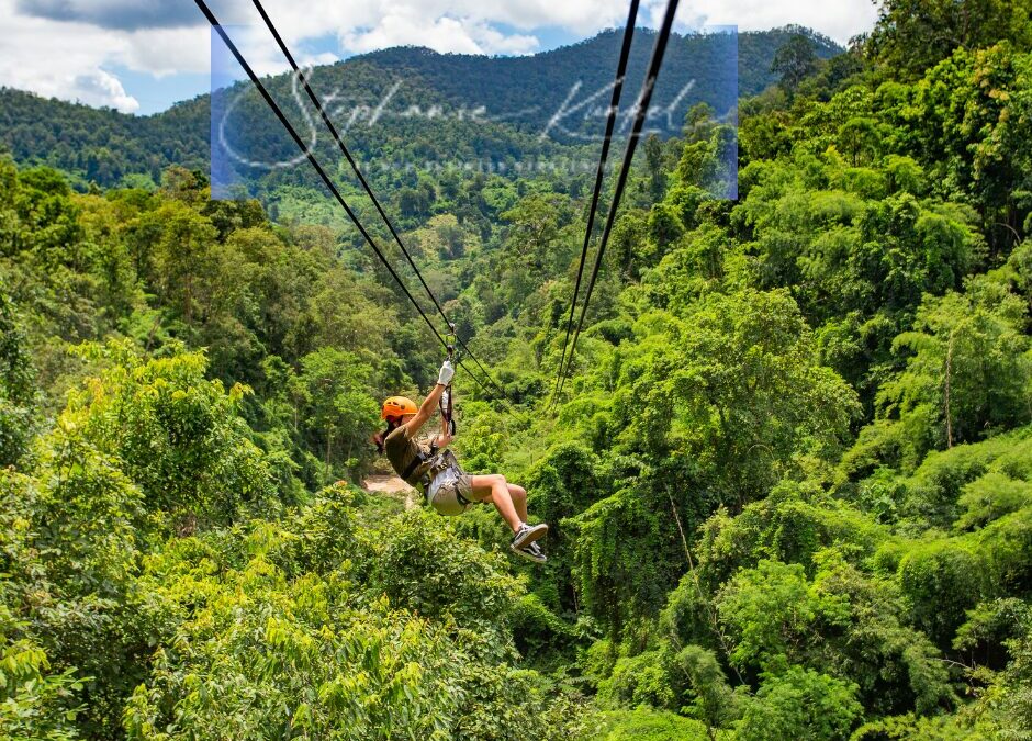 Ziplining & Entrepreneurship