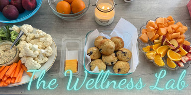 The Wellness Lab 384 cover